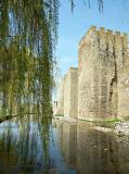 Smederevo Fortress