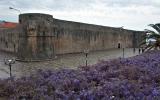 Walls of Budva