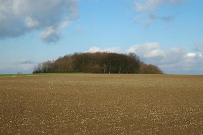 u44/andi1712/medium/28478244.Dsc_10032a.jpg
