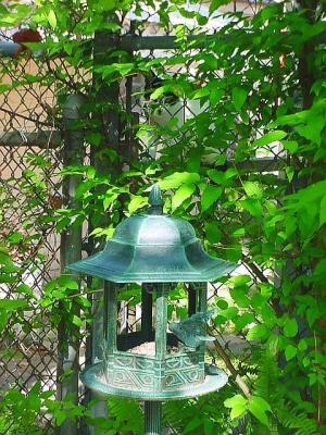 CatWatchesBirdfeeder.jpg