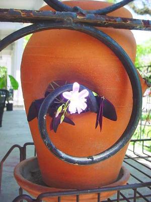 PurpleShamrockFlowersUrn.jpg