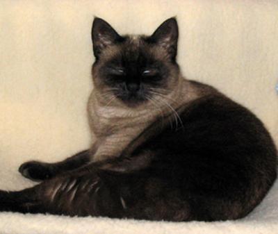 u44/antonio2004/medium/28779525.Foto03.jpg