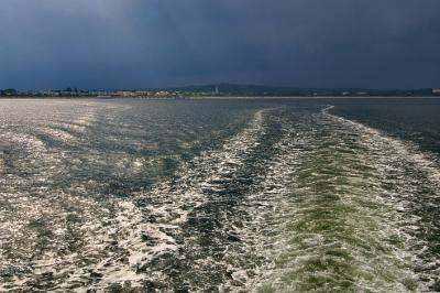 Storm is Coming