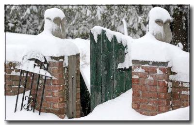 snow and gate