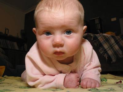 inquisitive