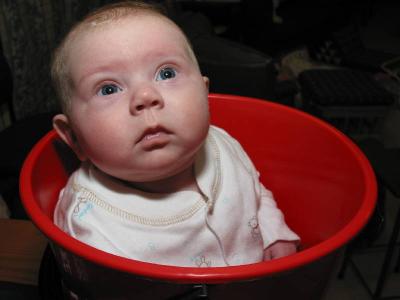 How many babies can you get in a bucket?