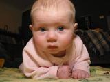 inquisitive