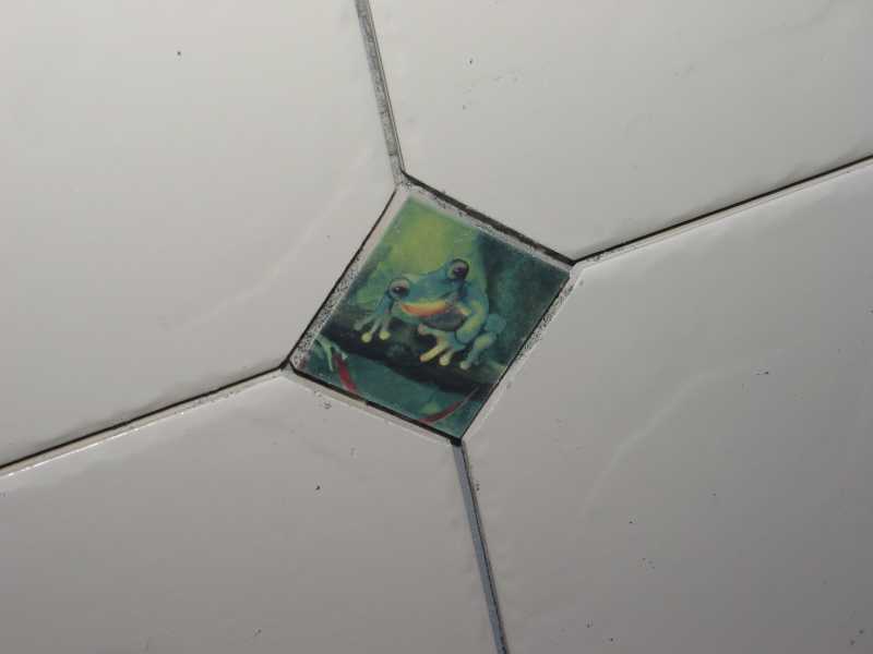 close-up of wall tiles