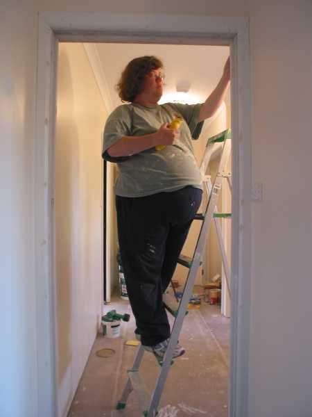 filling gaps while on a ladder