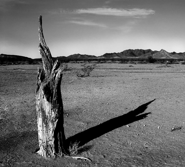 DSC03030pp2.jpg