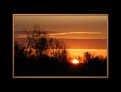 morningglow.jpg