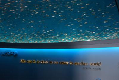 u44/baja_traveler/medium/28498730.MontereyBayAquarium.jpg