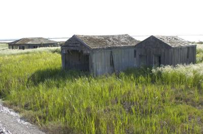 DSC_4120.jpg