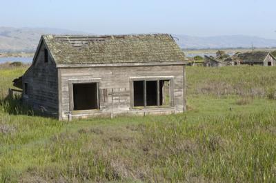 DSC_4128.jpg