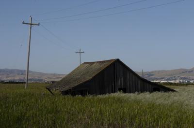 DSC_4149.jpg