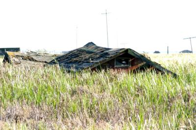 DSC_4162.jpg
