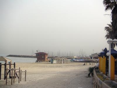 Beach Walk 033.jpg