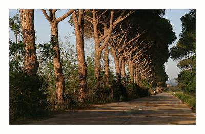 Maremma,Italy