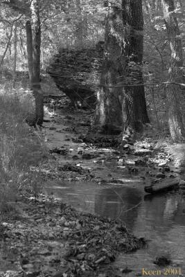 CRW_0654bw.jpg