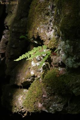 CRW_0672.jpg