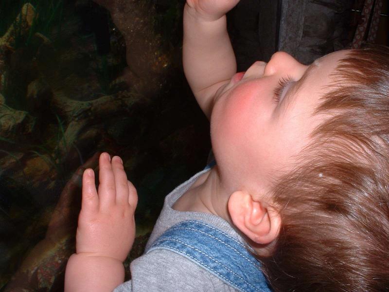 DSCF0071.JPG