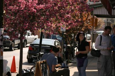 u44/bike50now/medium/28315798.55SidewalkCafeScene.jpg