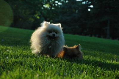Sept10d_04_256.JPG