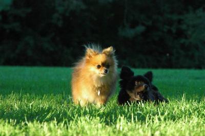 Sept10e_04_017.JPG
