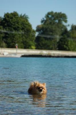 u44/billmcintyre/medium/33721418.Sept11b_04_163.jpg