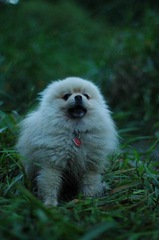 Sept10b_04_115.JPG