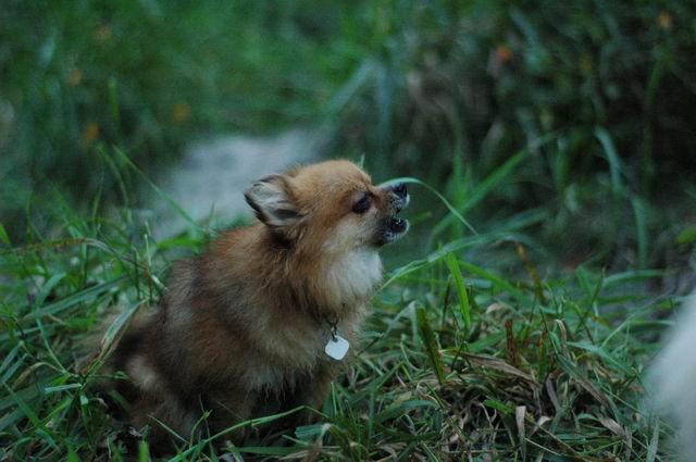 Sept10b_04_361.JPG