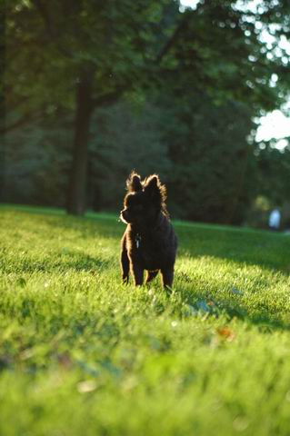 Sept10e_04_072.JPG