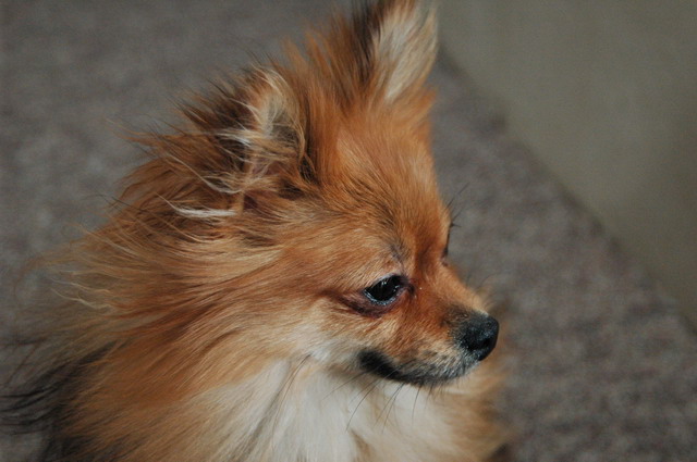 Feb12a_05_157.JPG