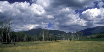 Norm Wooldridge: Montana Sky
