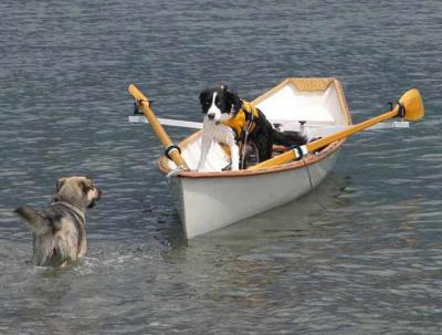 J Petrek: No One Dog Paddles