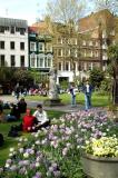 Springtime in Soho Square