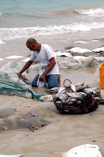 Disentangling fish from the nets