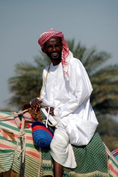 Camel trainer, Dubai UAE