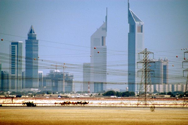 A camel track is much bigger than a horse track