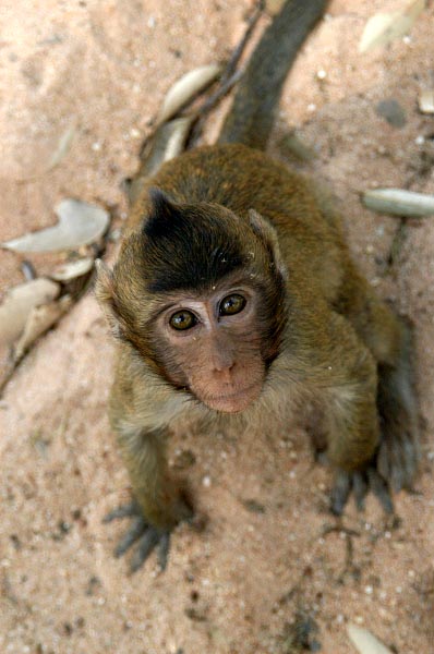 Hello. Do you have anything for me?