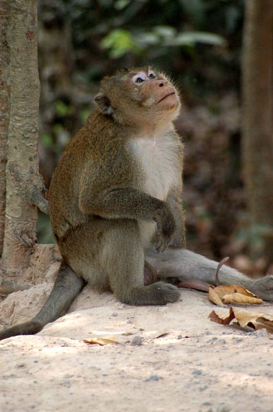 Adult with a relaxed pose
