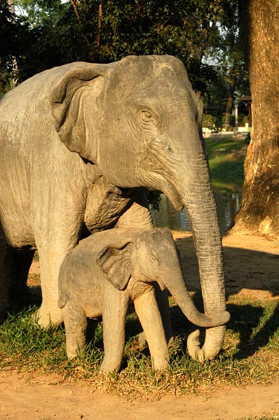 Carved elephants near the Siem Reap River