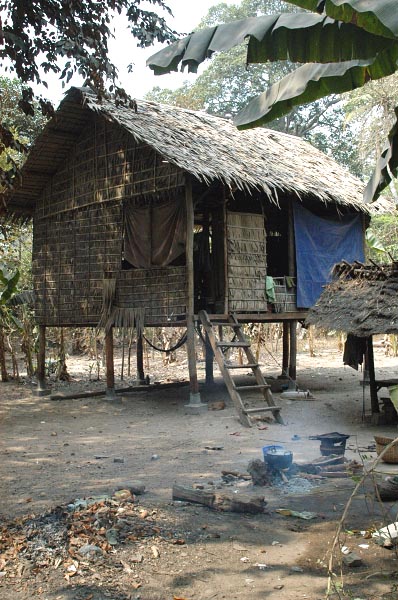 Hut on stilts