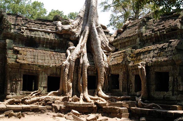 The trees make this temple amazing