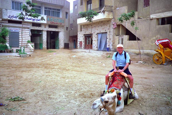Dad on his camel, Giza