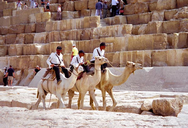Camel mounted police at the Pyramids