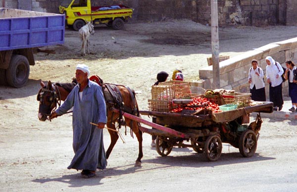 Horse drawn cart near the Citadel