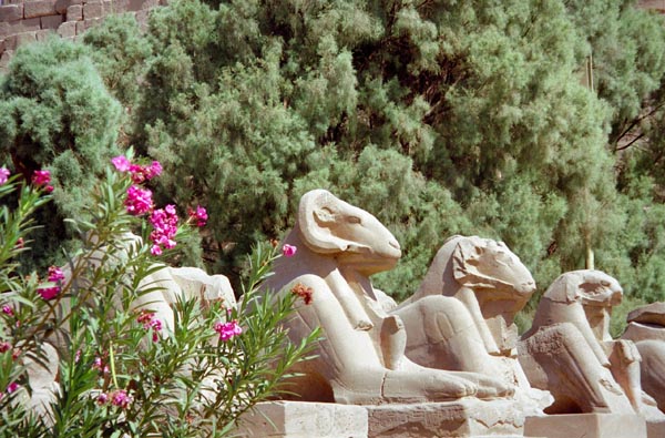 Avenue of Sphinxes, Karnak