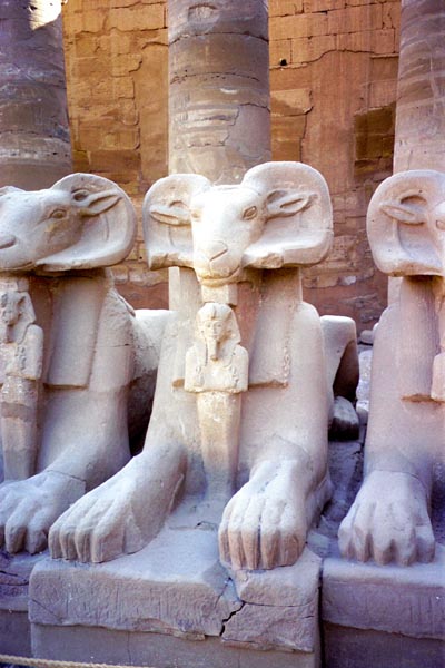 Sphinxes representing Amun with Rameses II