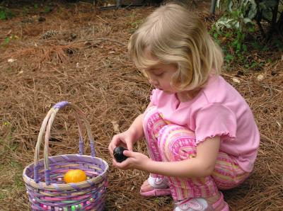 egg search4